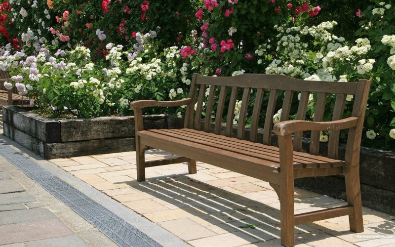 A bench in the garden