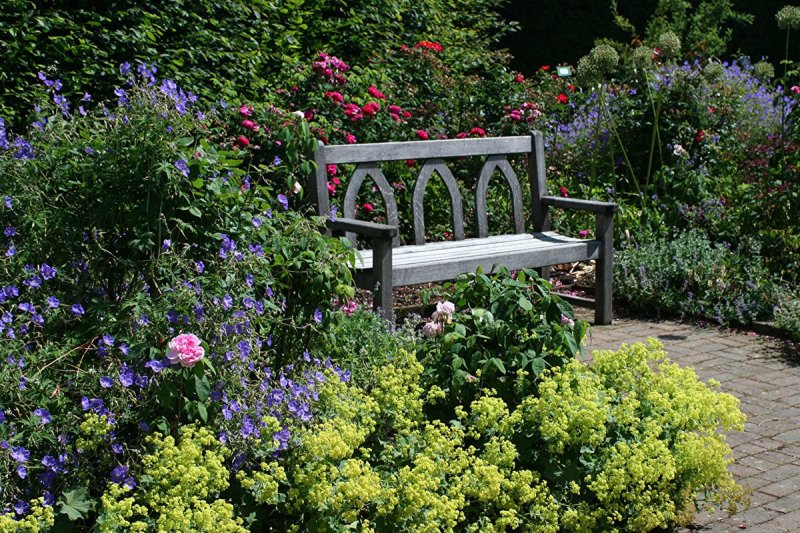 Shop flower beds shady garden