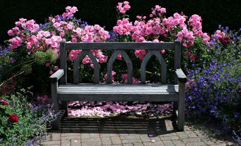 Bench Garden Garden