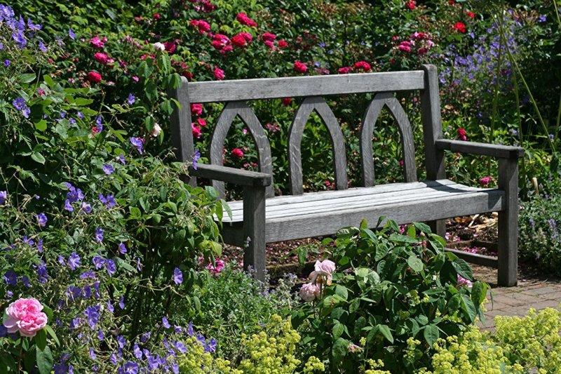 Bench Garden Garden