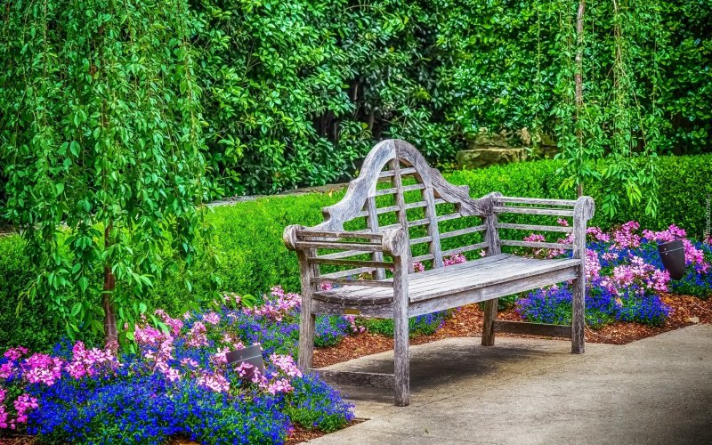 A bench in the garden