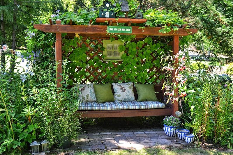 The bench Patio Pergola