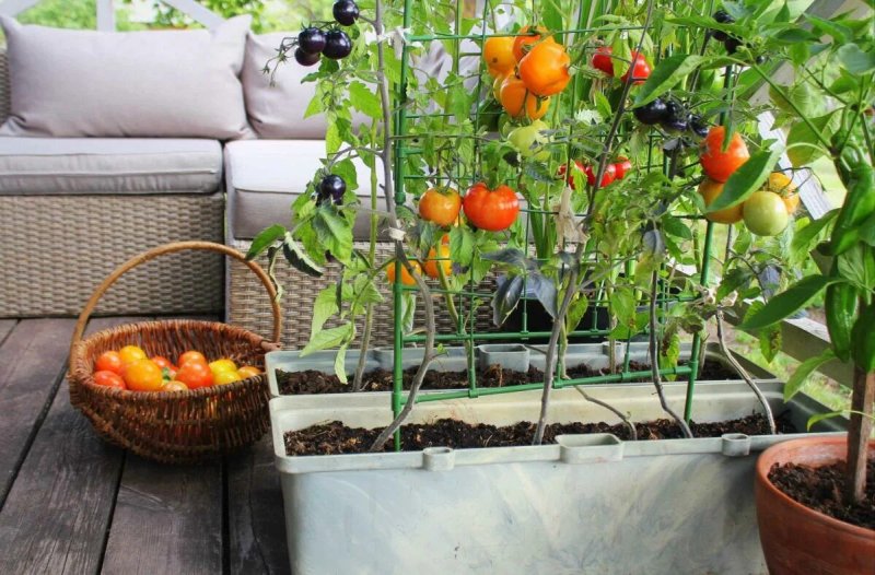 Balcony garden