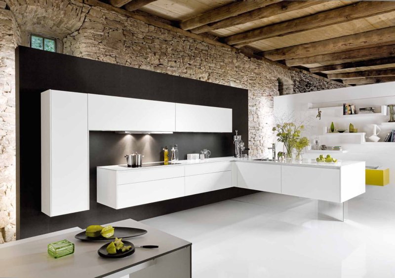 Minimalism style kitchens