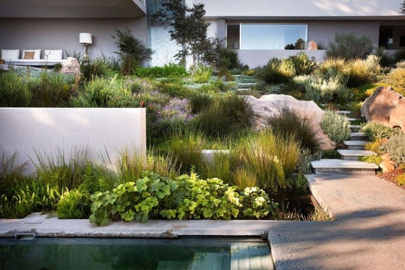 Landscaping in modern style