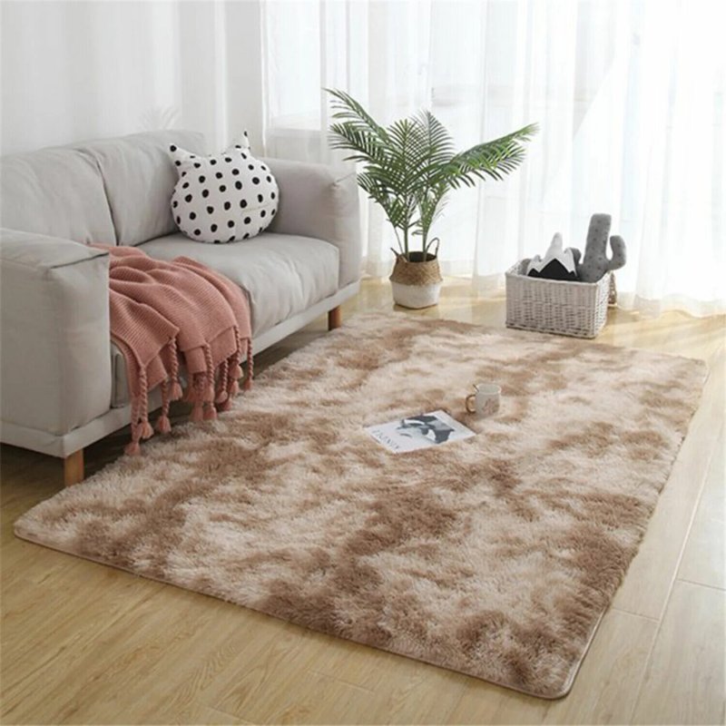 Carpet for the living room