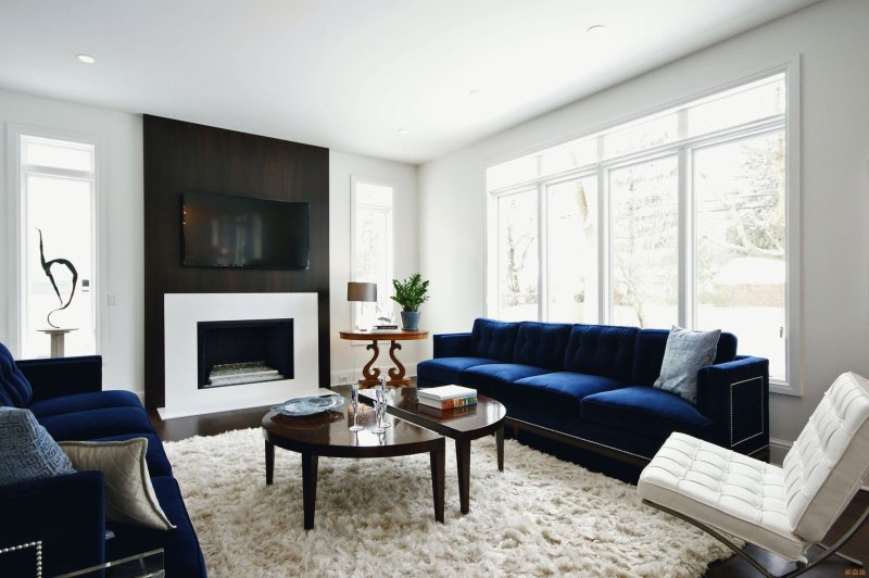 Blue sofas in the interior of living rooms