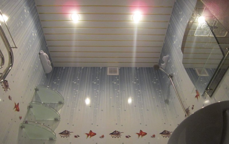 Alconplast rack ceiling