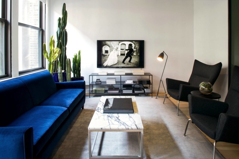 Interior with a blue sofa