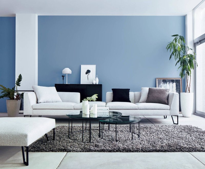 Blue walls in the interior of the living room