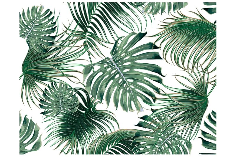 Paper murals Seamless Verol "Tropical Leaves"