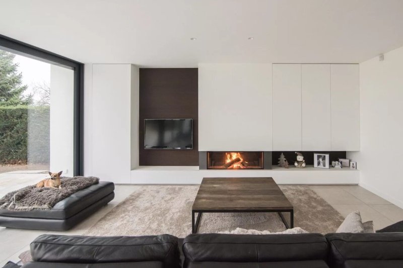 Living rooms with a fireplace in a modern style