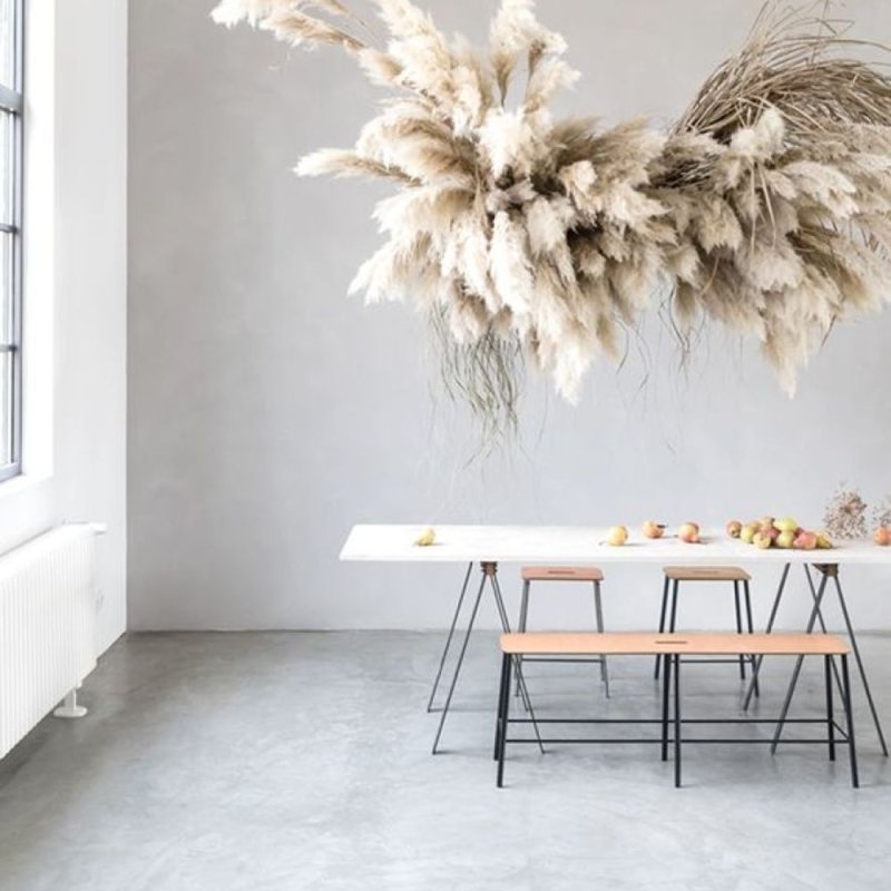 Pampas grass for decor in the interior