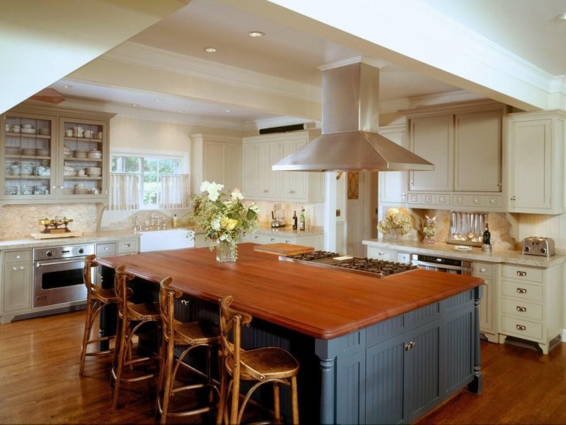 Kitchen design with the island