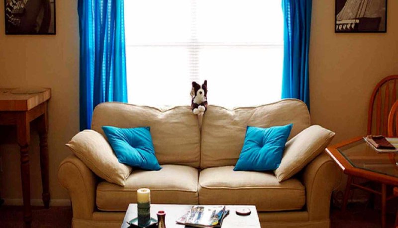 Curtains to the blue sofa in the interior