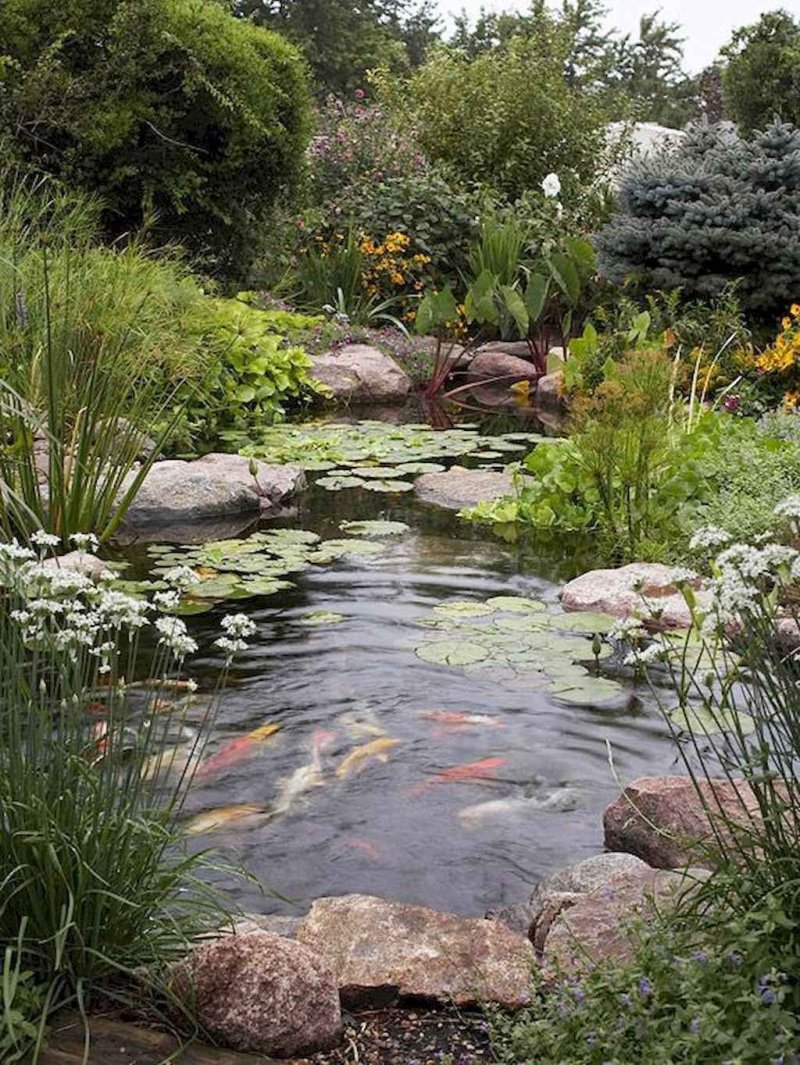 Garden pond