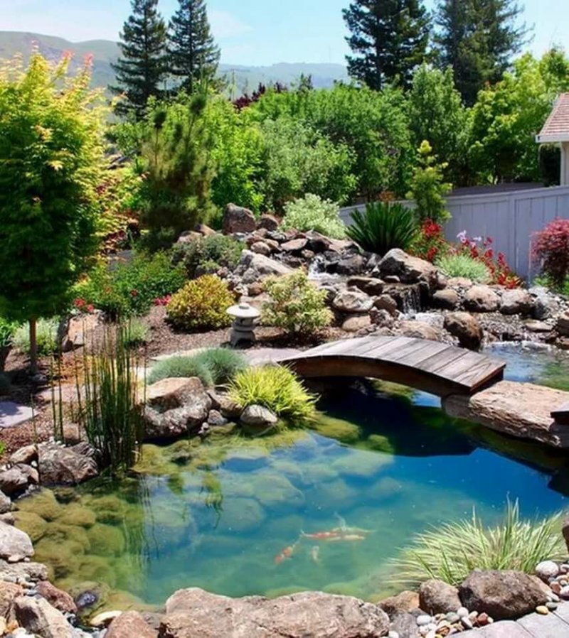 Garden pond