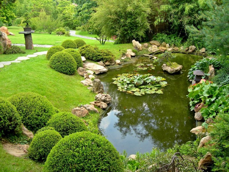 Pond landscape design