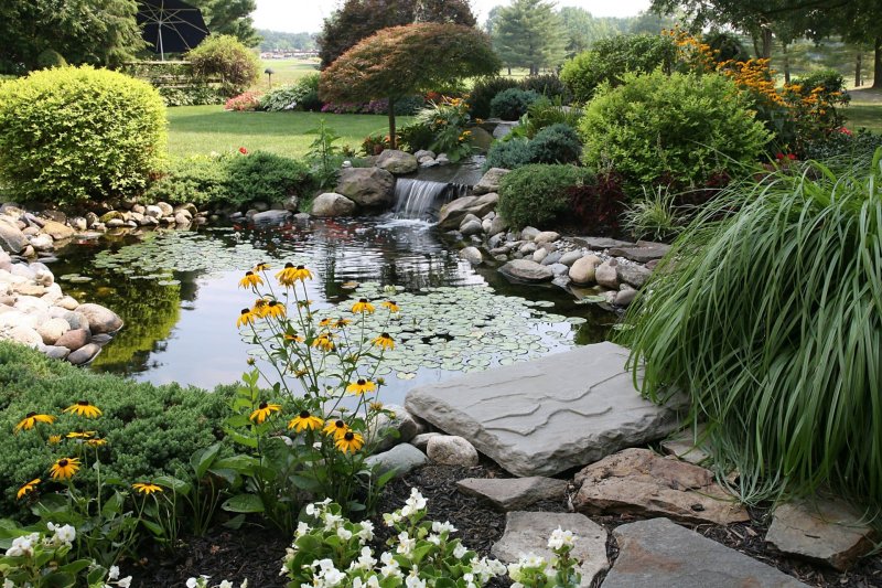 Garden pond