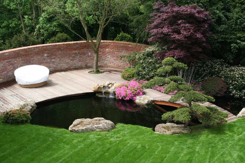 Pond landscape design