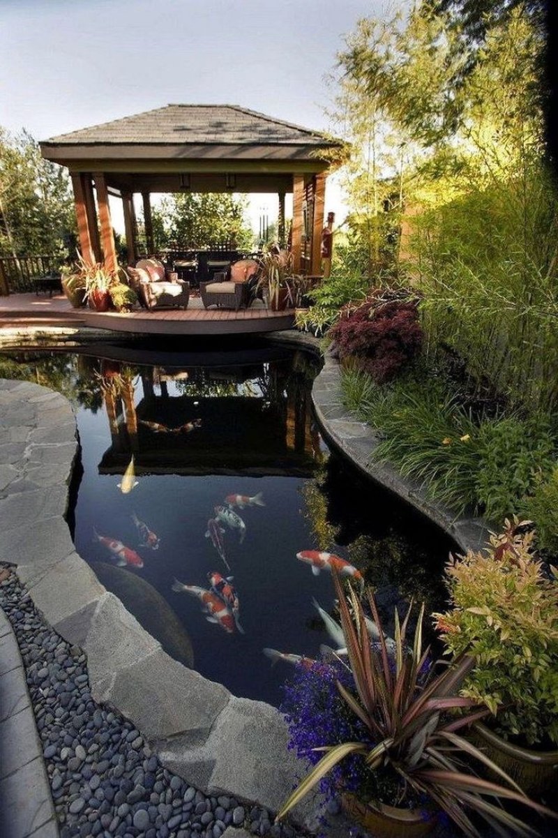 Koi pond