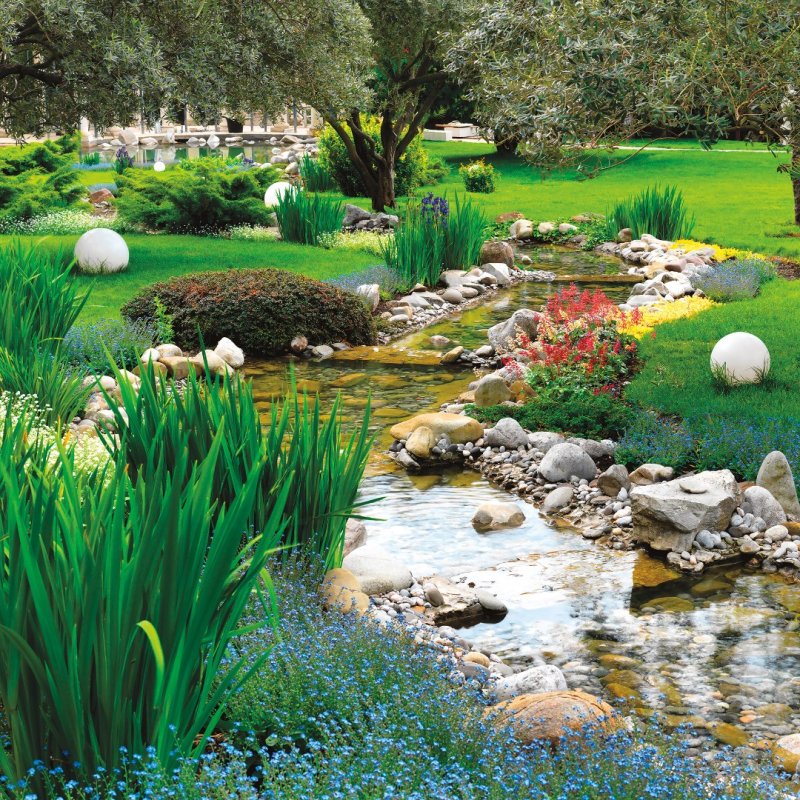 A stream in the garden