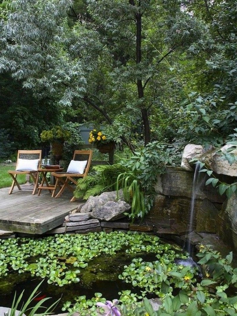 Beautiful pond in the garden