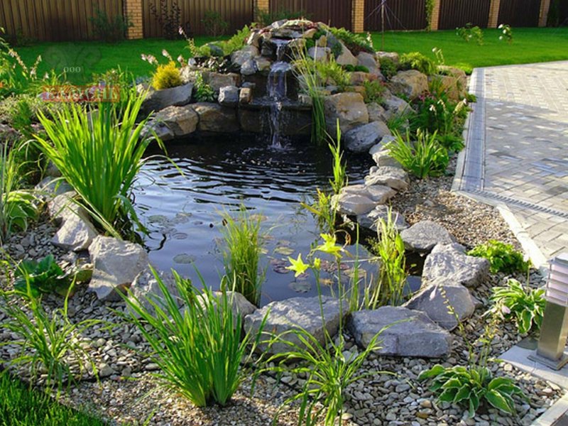 Alpine slide with a stream and a pond