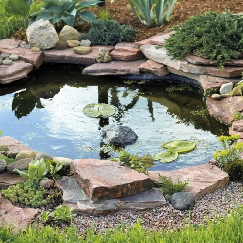 A pond for a summer residence