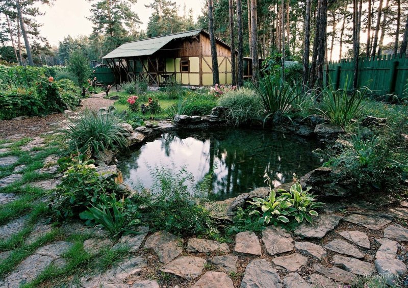 Pond on the site