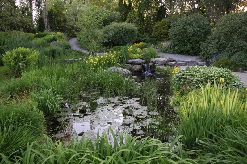 Reservoir in the garden