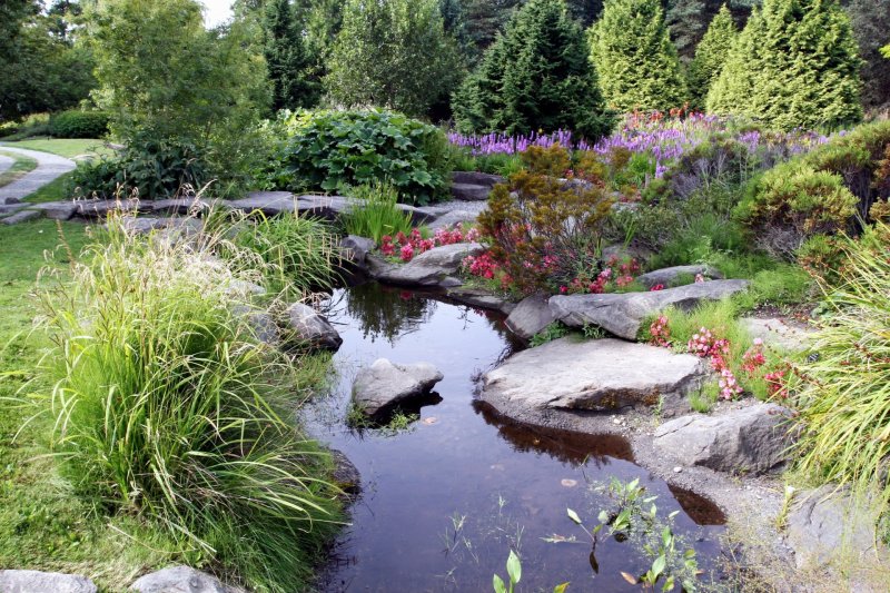 Reservoir in the garden