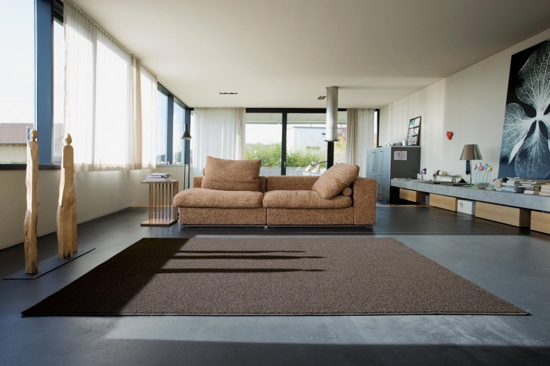 Carpet in a modern interior