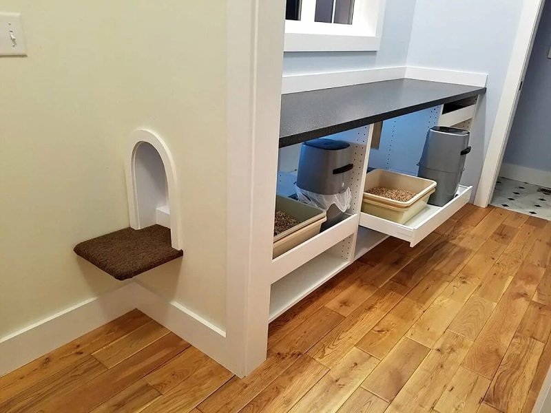 Cat Ikea tray