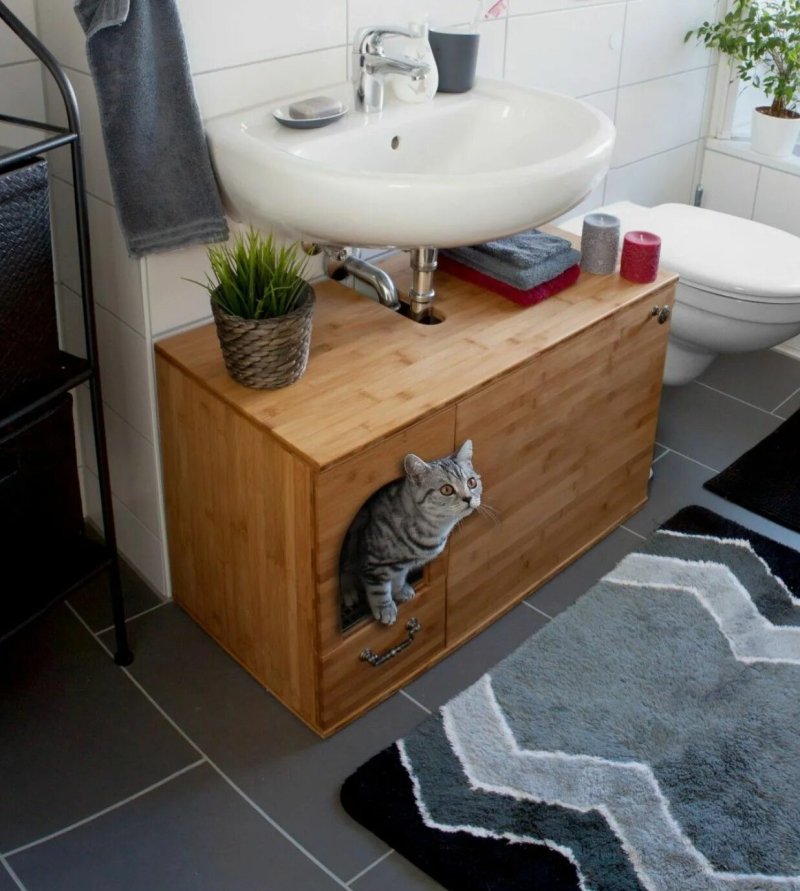 Cat toilet