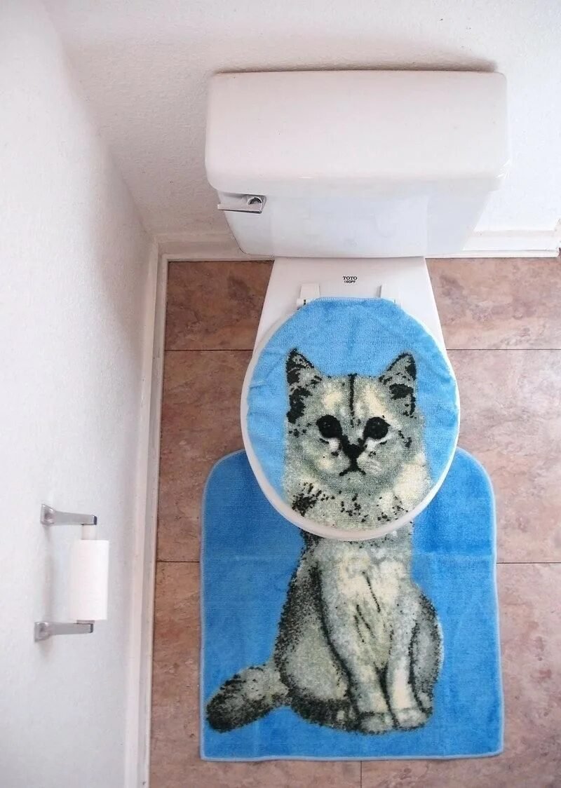 Cat in the toilet