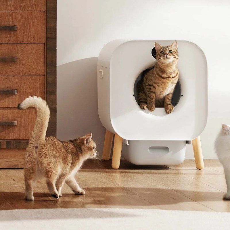 Automatic cat toilet