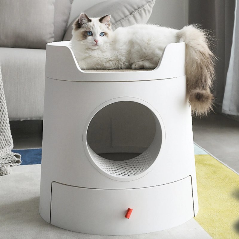 Cat toilet