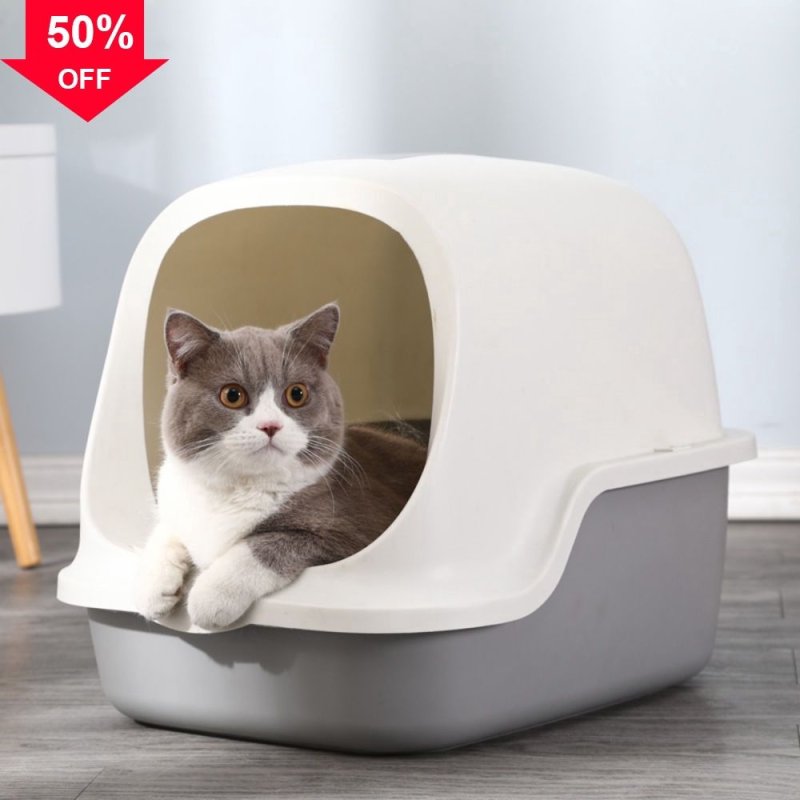 Cat toilet