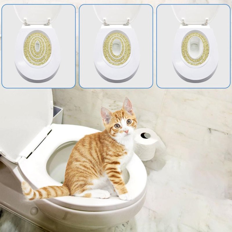 Cat teaching system to the toilet