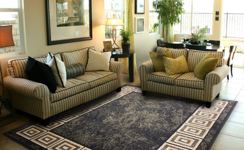 Carpets in the interior of the living room modern style