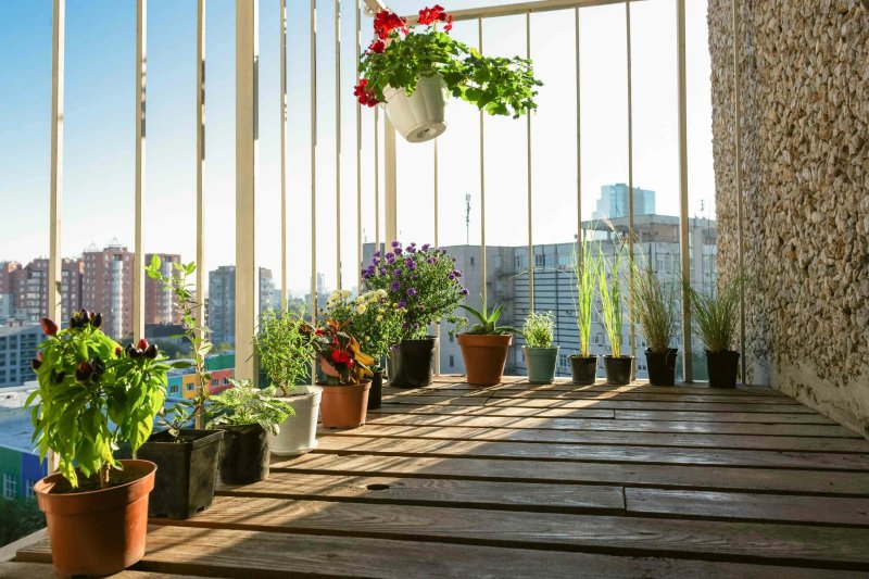 On the balcony