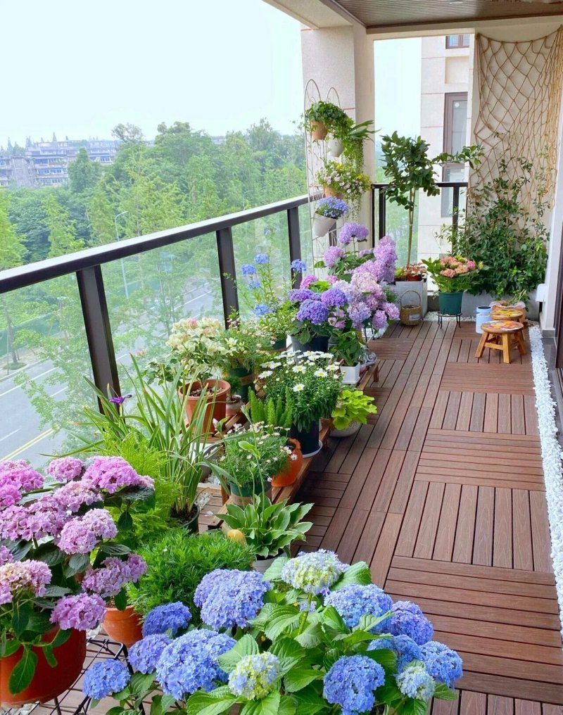 Hydrangea Patio