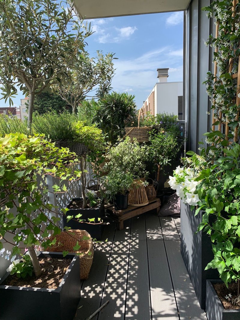 Small Balcony Garden