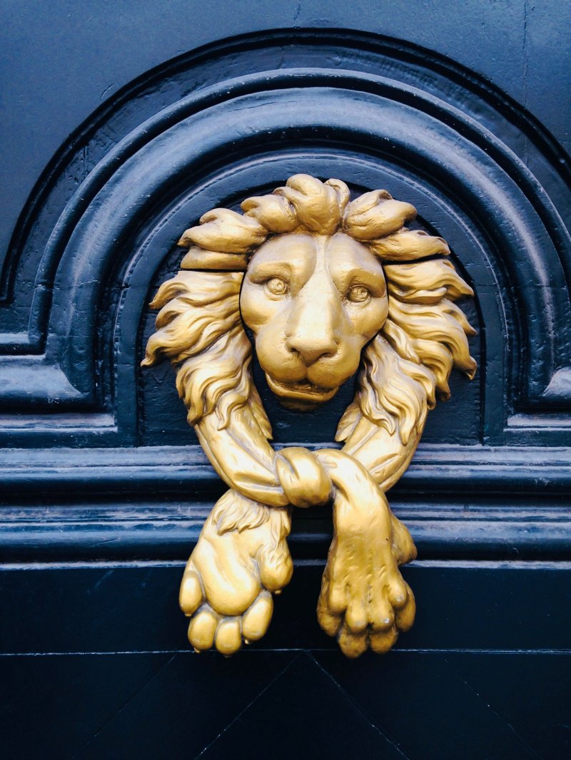 Gate with lions