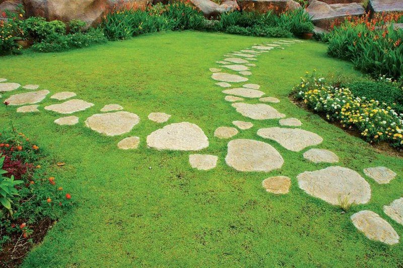 Stone path on the lawn