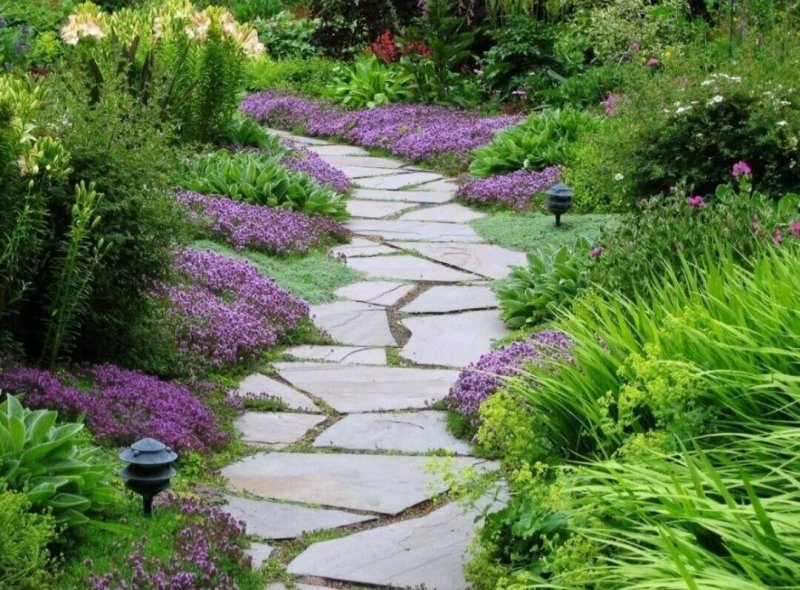 The path in the garden