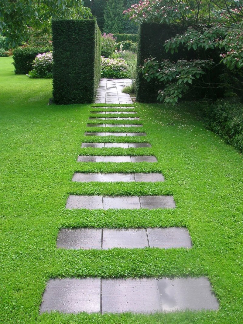 The path to the garden