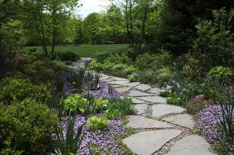 The path in the garden