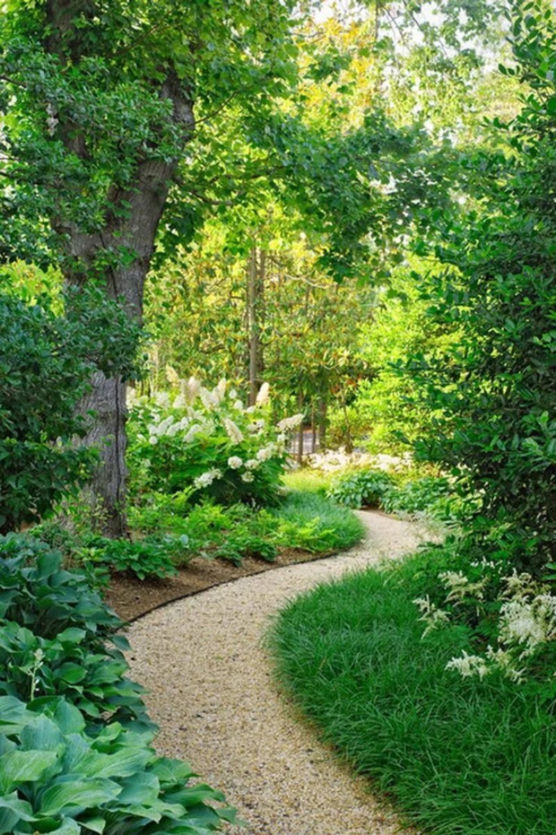 The path in the garden